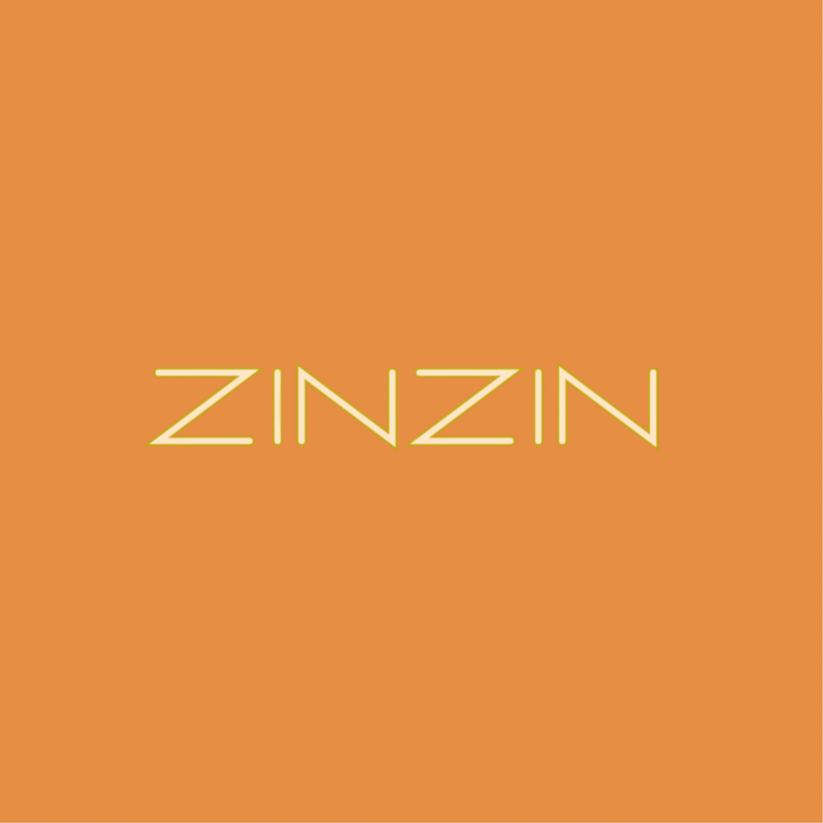 Zinzin